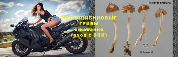 мефедрон мука Новодвинск