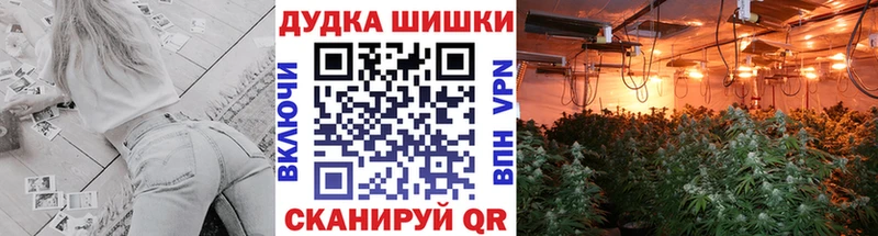 Канабис THC 21% сколько стоит Сельцо